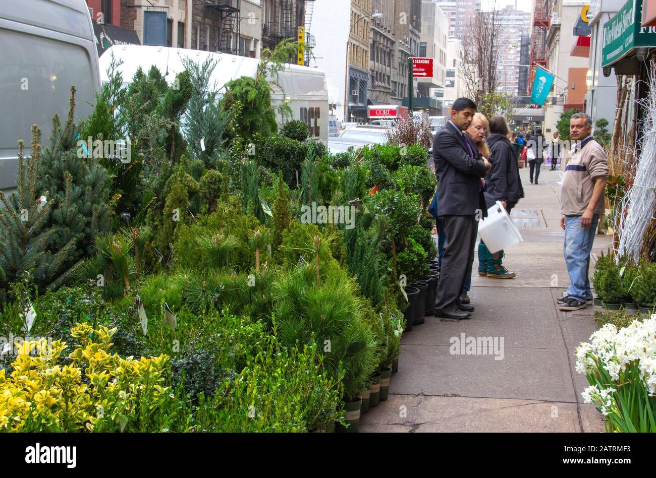Christmas sales in the flower market, New York City Stock Photo Alamy