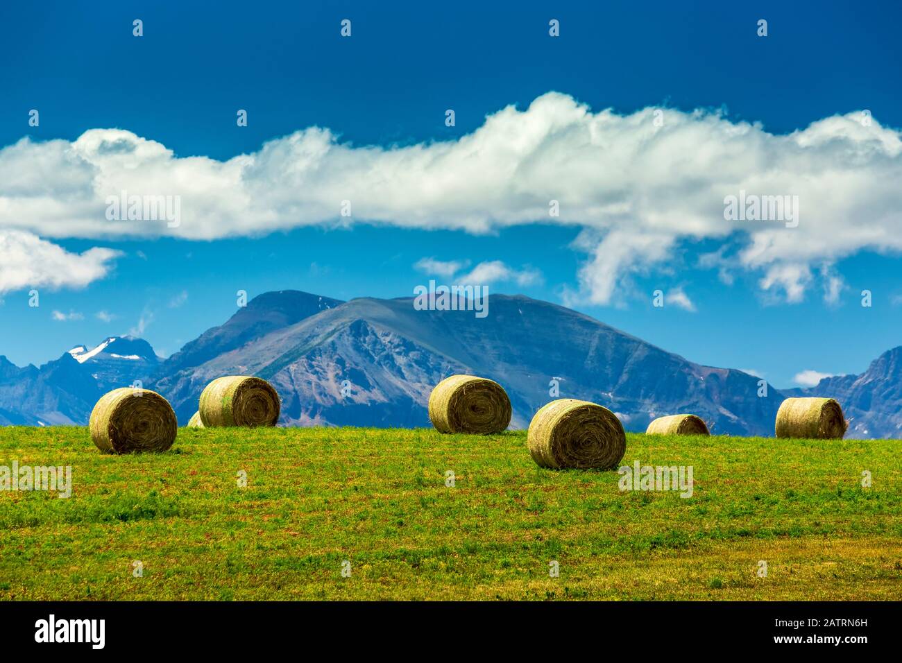Hay bales on a hillside field with mountain range, clouds and blue sky in the background, near Waterton; Alberta, Canada Stock Photo