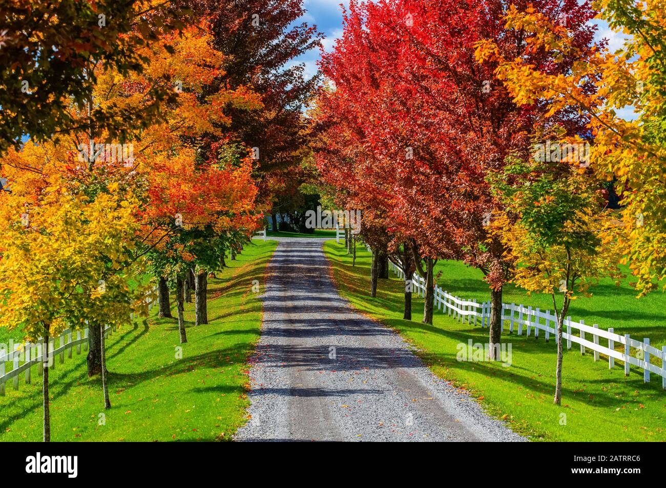 Autumn coloured foliage and country lane; West Bolton, Quebec, Canada Stock Photo Alamy
