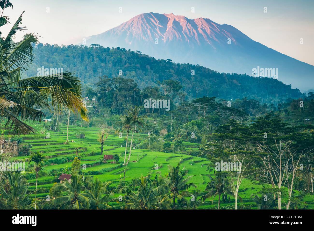 Sunset at Sideman Rice Terraces; Bali, Indonesia Stock Photo