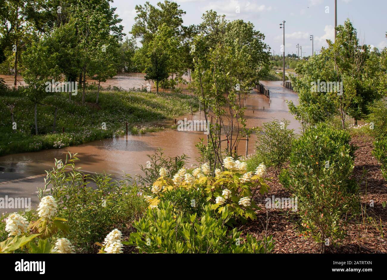 Flood water covering walking trail and pedestrian bridge in park with wildflowers near Arkansas River in Tulsa OK USA during 100-yr flood Stock Photo