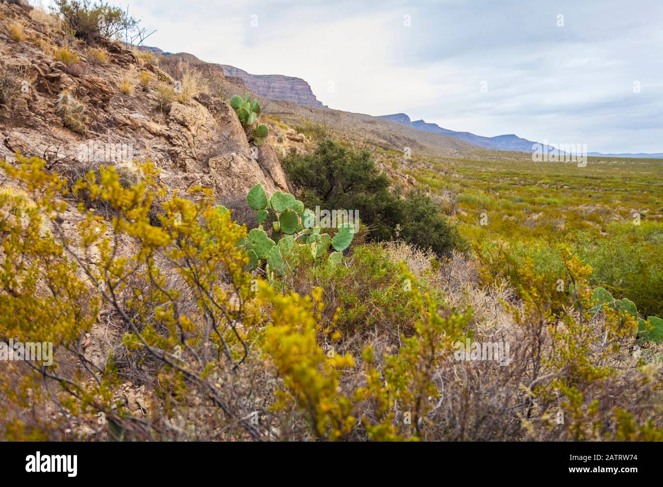 Dog Canyon National Recreational Trail, Sacramento Mountains, Chihuahuan Desert in the Tularosa Basin, Oliver Lee Memorial State Park Stock Photo
