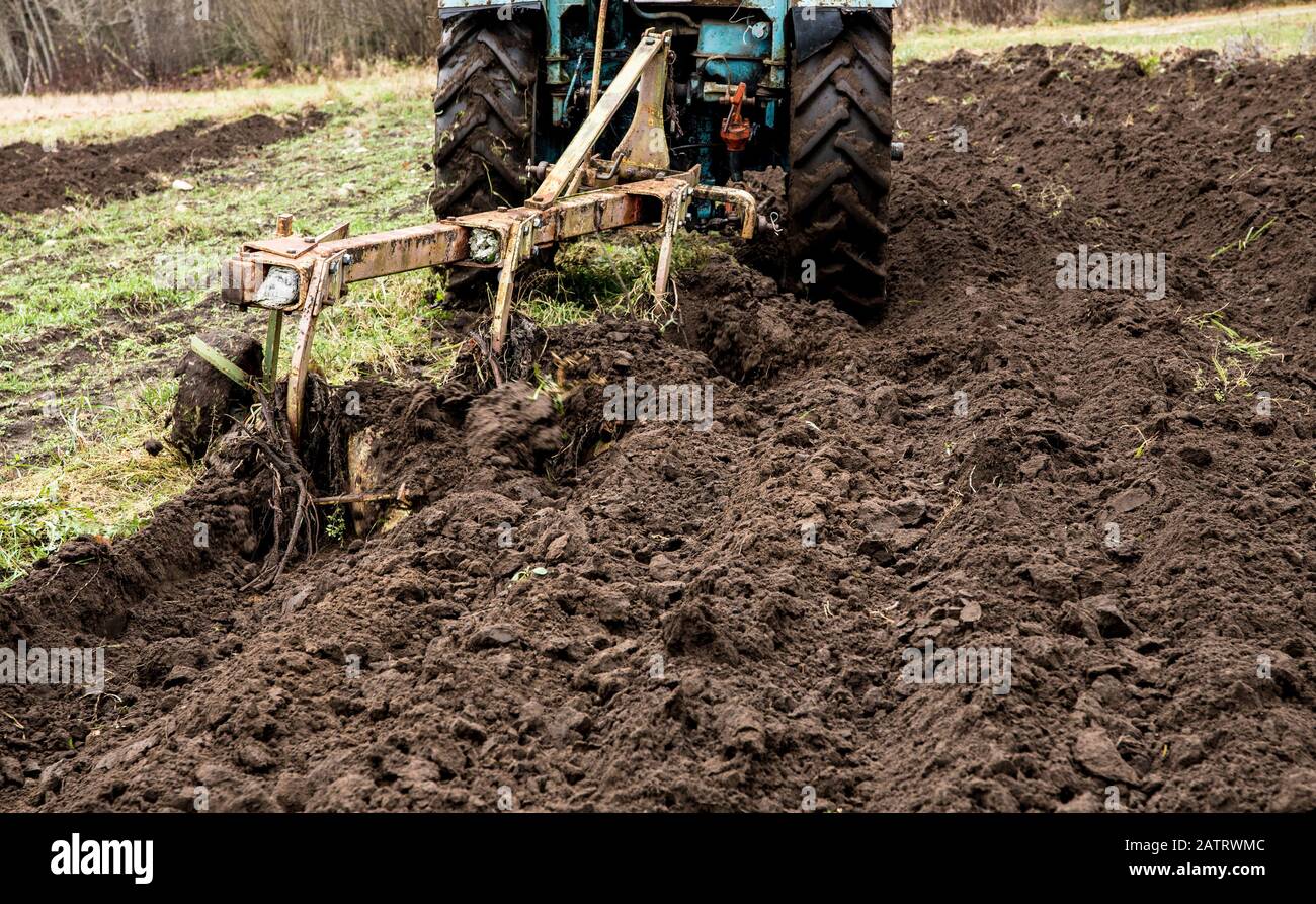 Cultivation with tractor of black fertile soil in Northern Europe in the end of the autumn. Preparing land for winter. Stock Photo