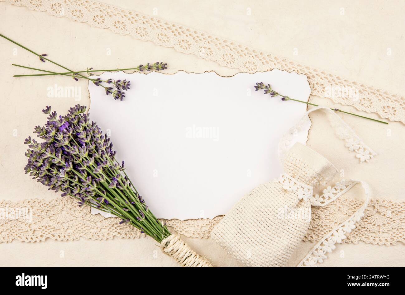 Top view of white empty sheet of paper with burned edges and surrounded by fresh lavender branches and scented dry lavender bag sachet on old page. Stock Photo