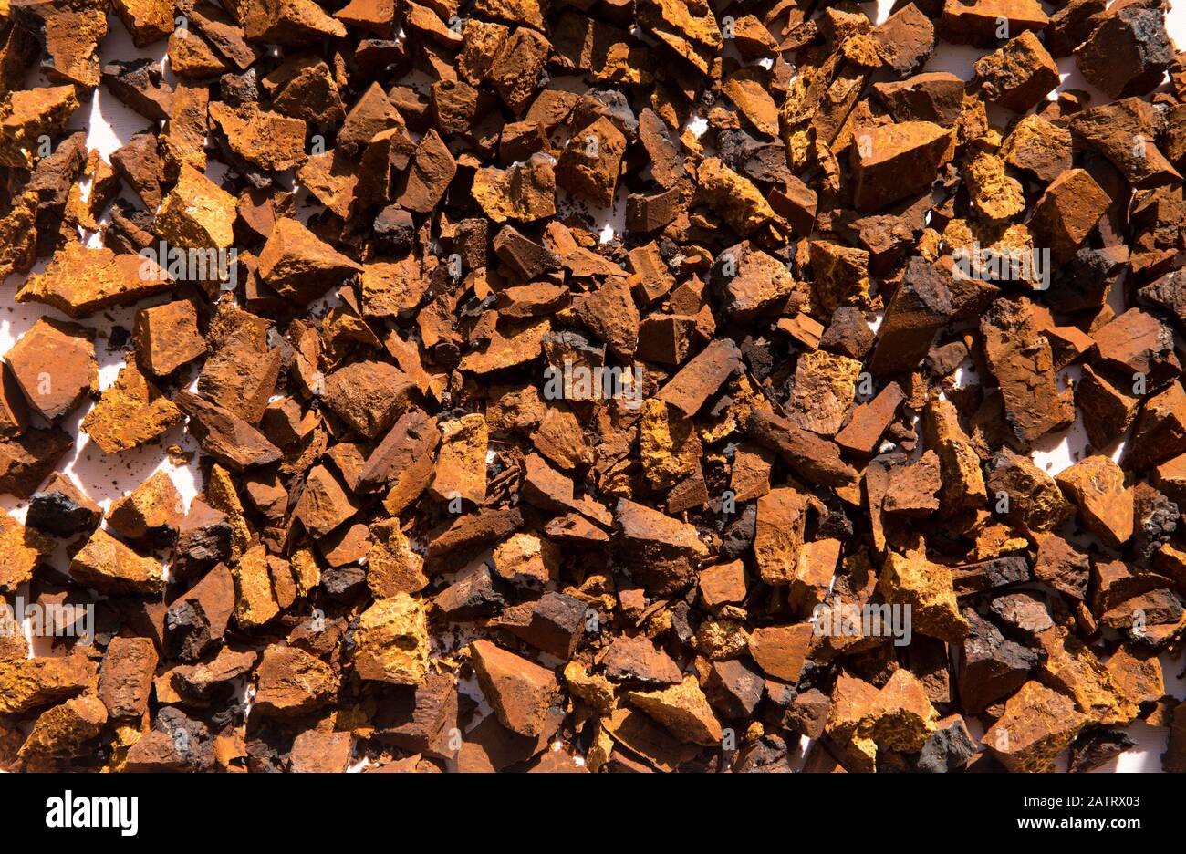 Healthy pure wild natural chaga mushroom, Inonotus obliquus pieces drying in the sun, covering whole background. Stock Photo