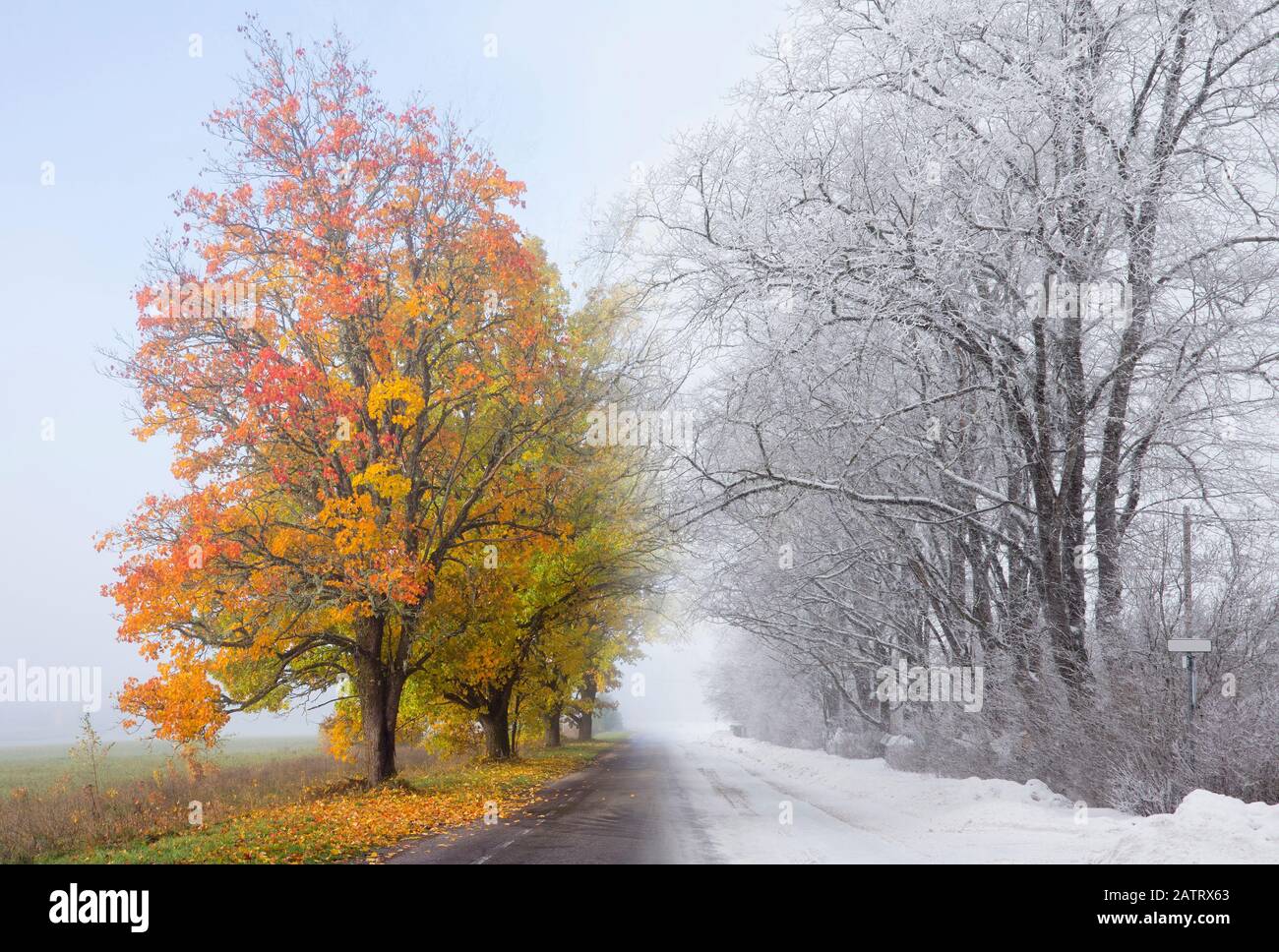 Fall turning into winter hi-res stock photography and images - Alamy