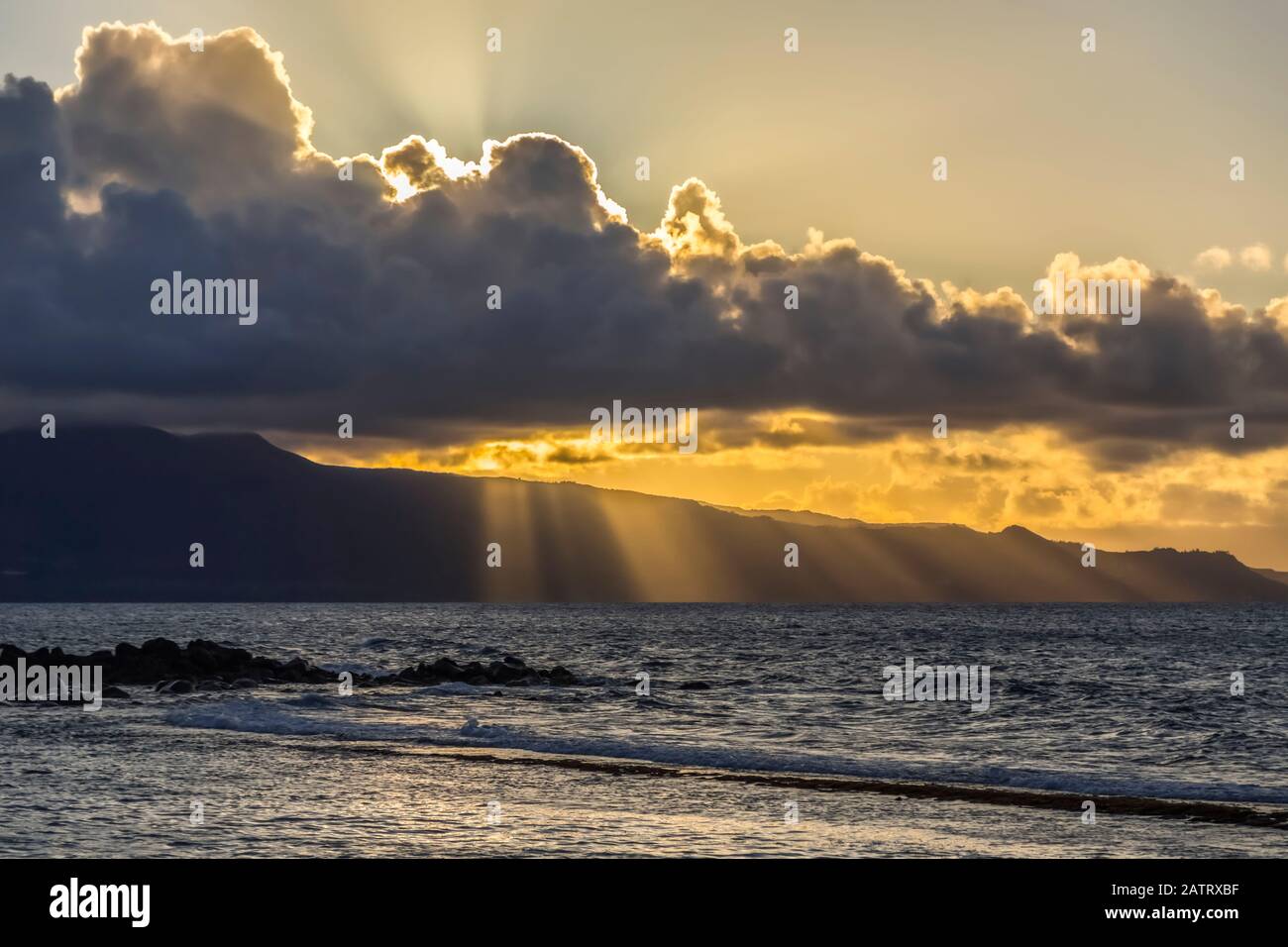 Live stream hawaii beach