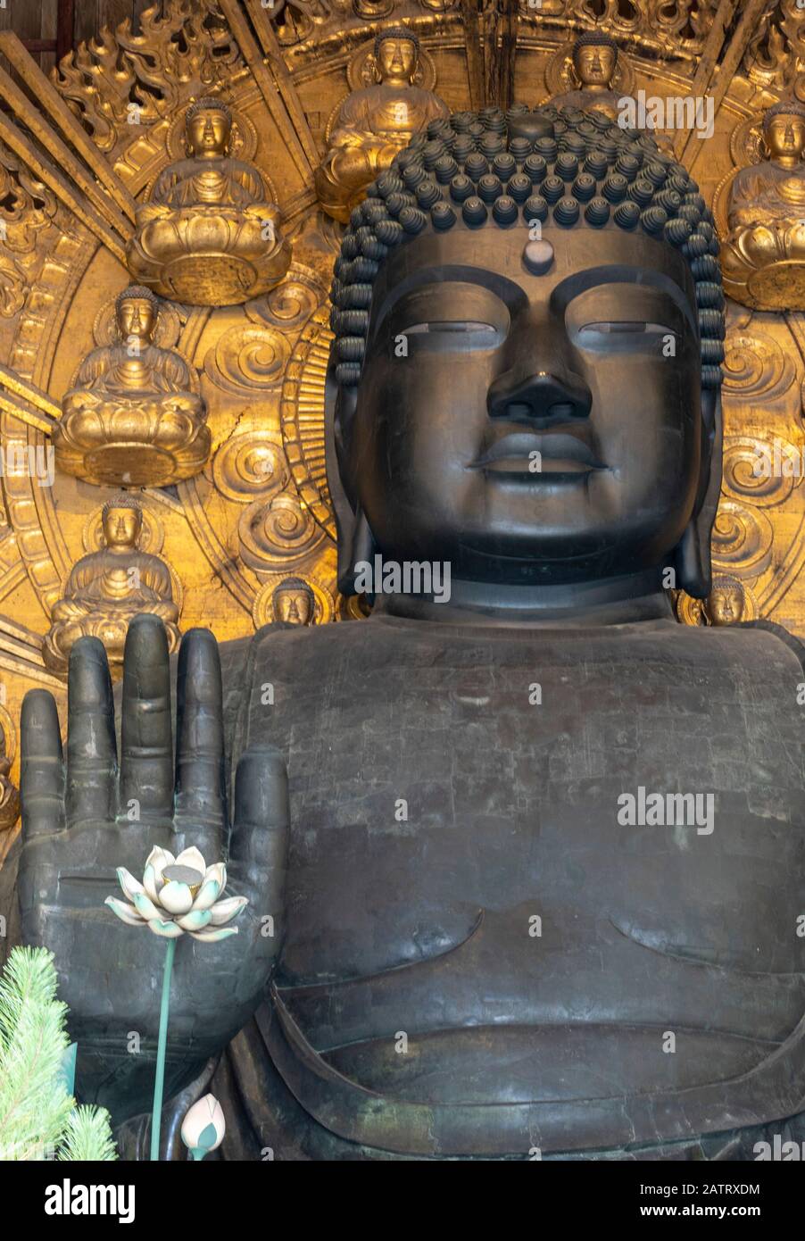 The world's largest bronze statue of the Buddha Vairocana,Todaiji