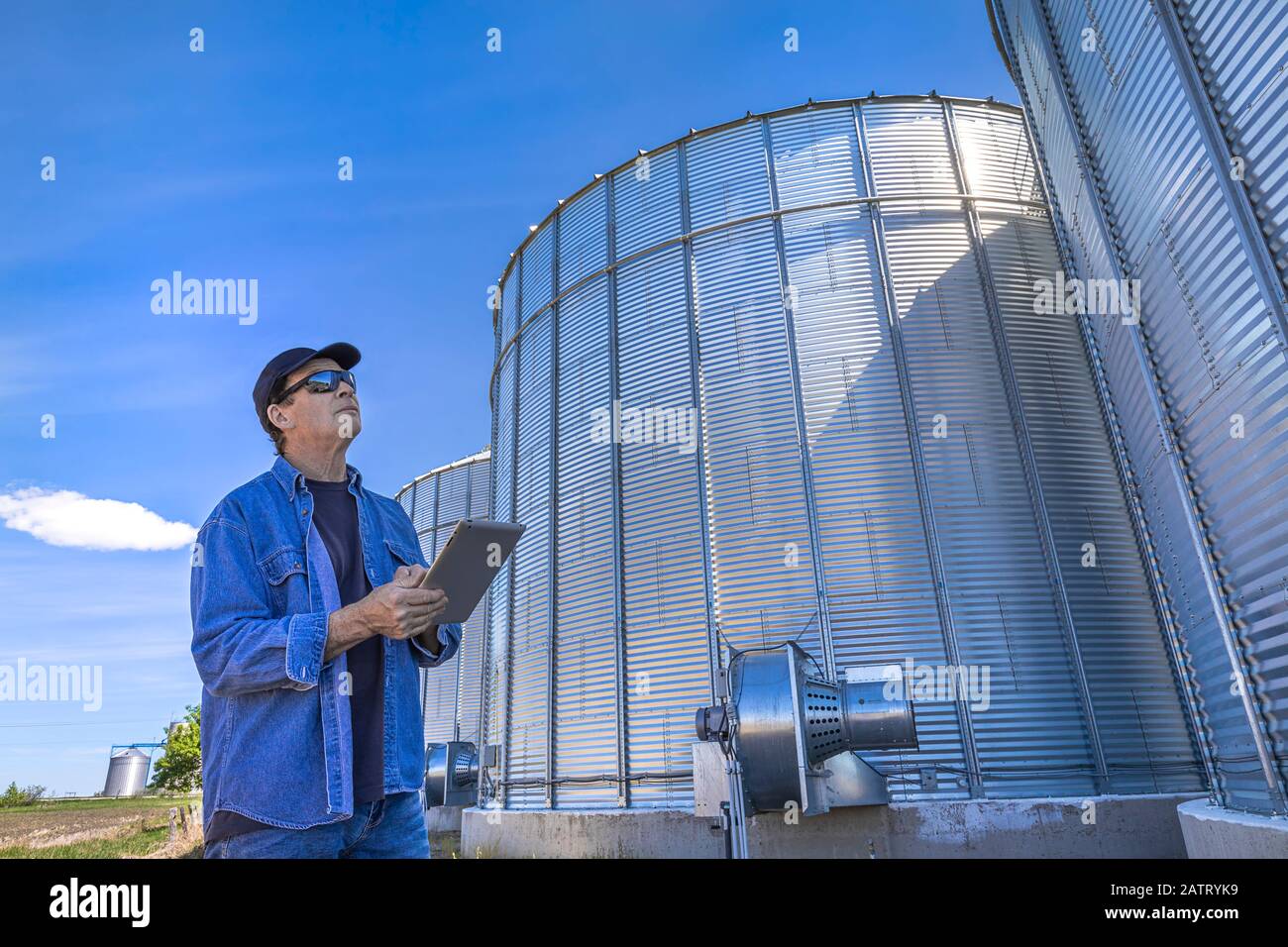 A farmer stands using a tablet while standing beside and looking up at grain storage bins; Alberta, Canada Stock Photo