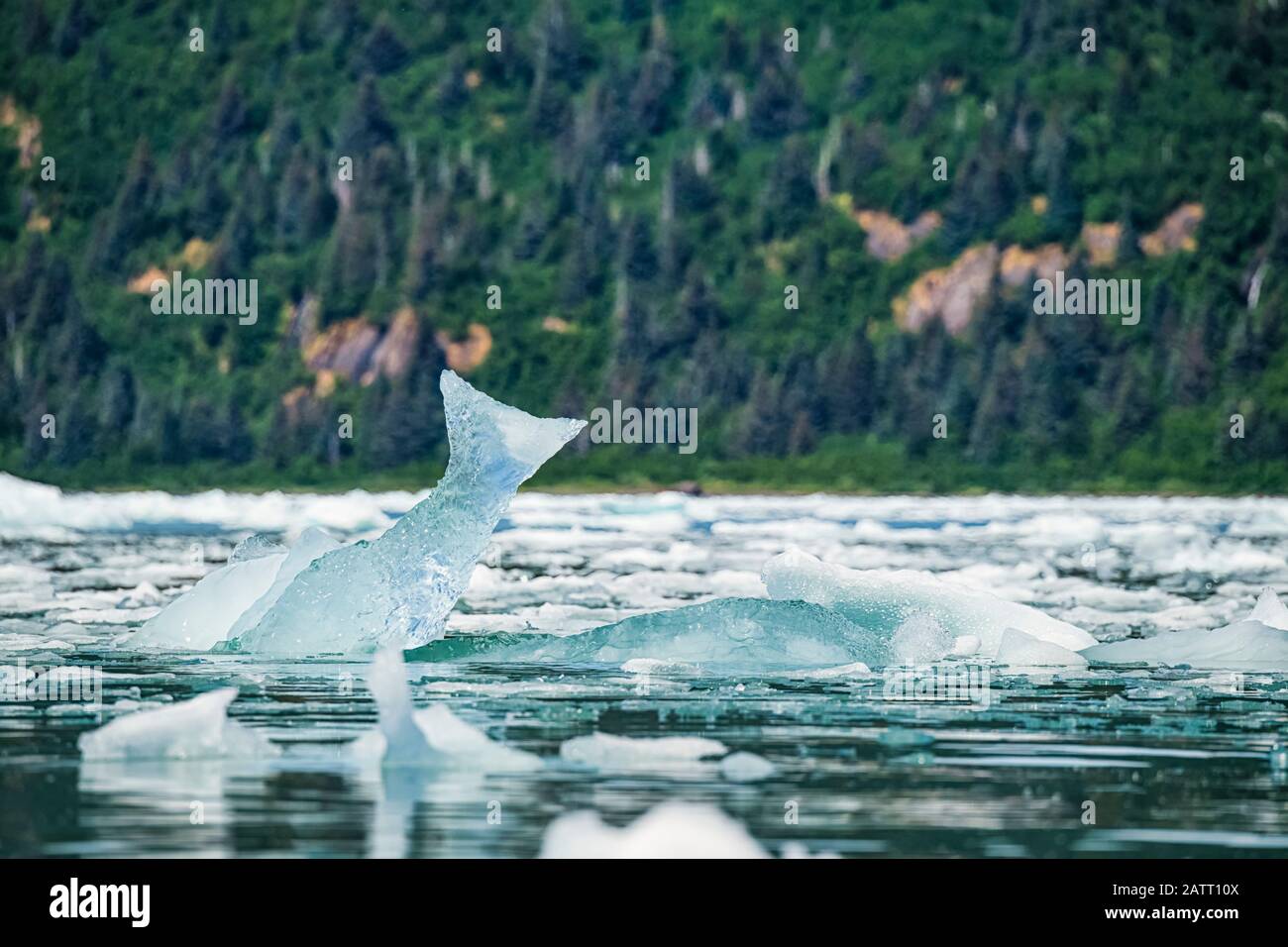Floating icebergs in Prince William Sound, Alaska. This one looks like a fish tail; Alaska, United States of America Stock Photo