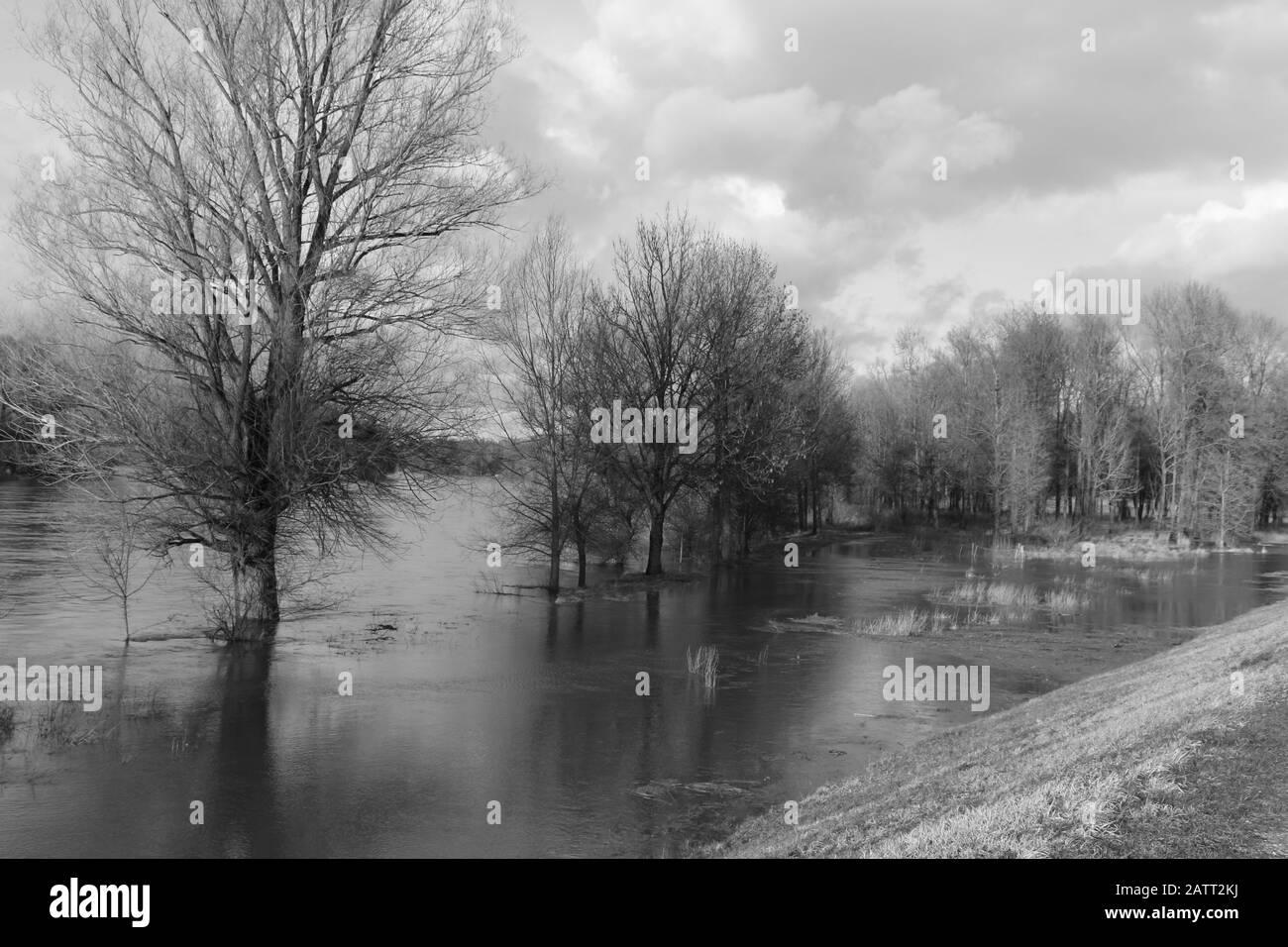 Hochwasser an der Donau in Neustadt an der Donau Stock Photo