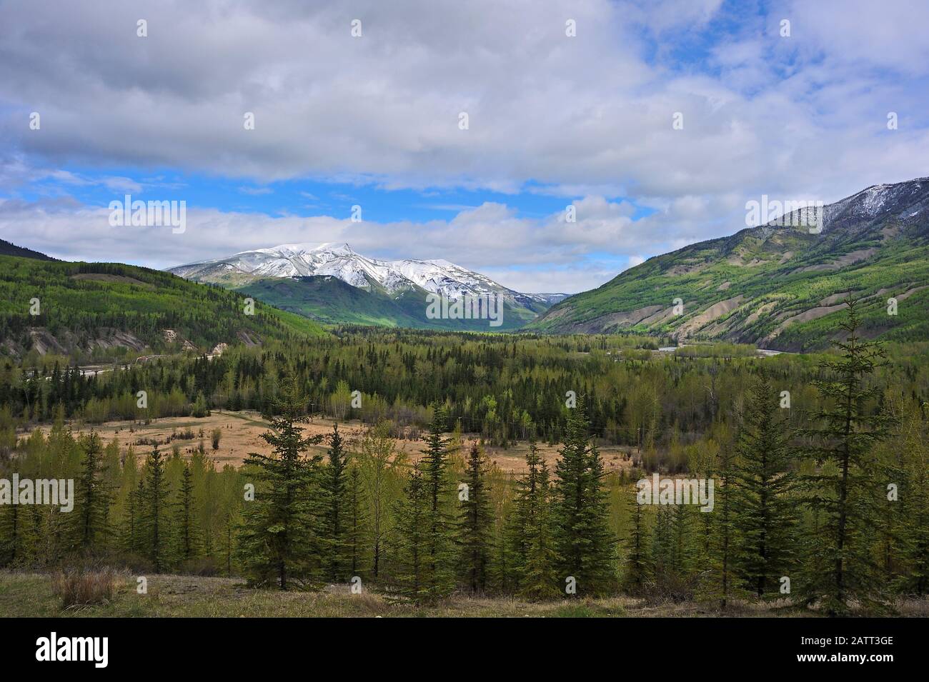 A spring landscape of snowcapped Mount Hamel near Grande Cache Alberta
