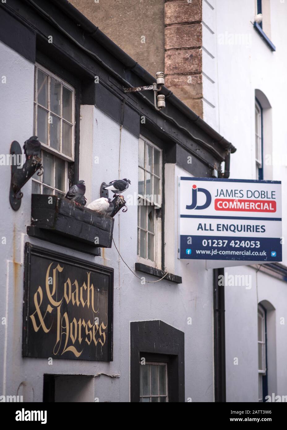 Closed pub in Appledore, North Devon with all enquiries for sale board and pigeons roosting in old flower window box Stock Photo