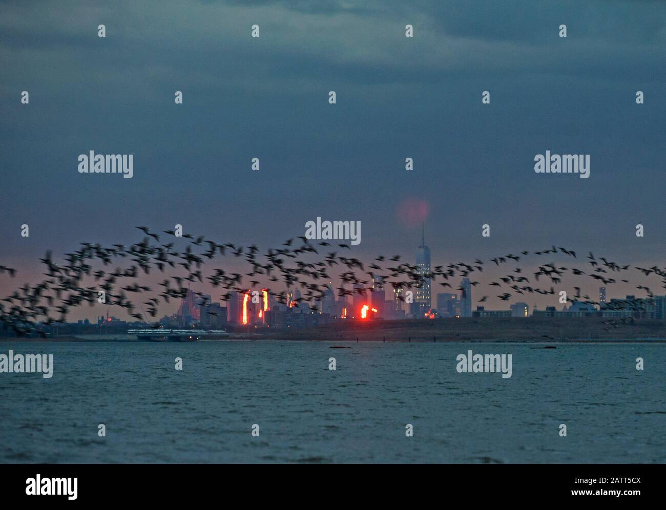 Brant flight motion against backdrop of NYC skyline Stock Photo