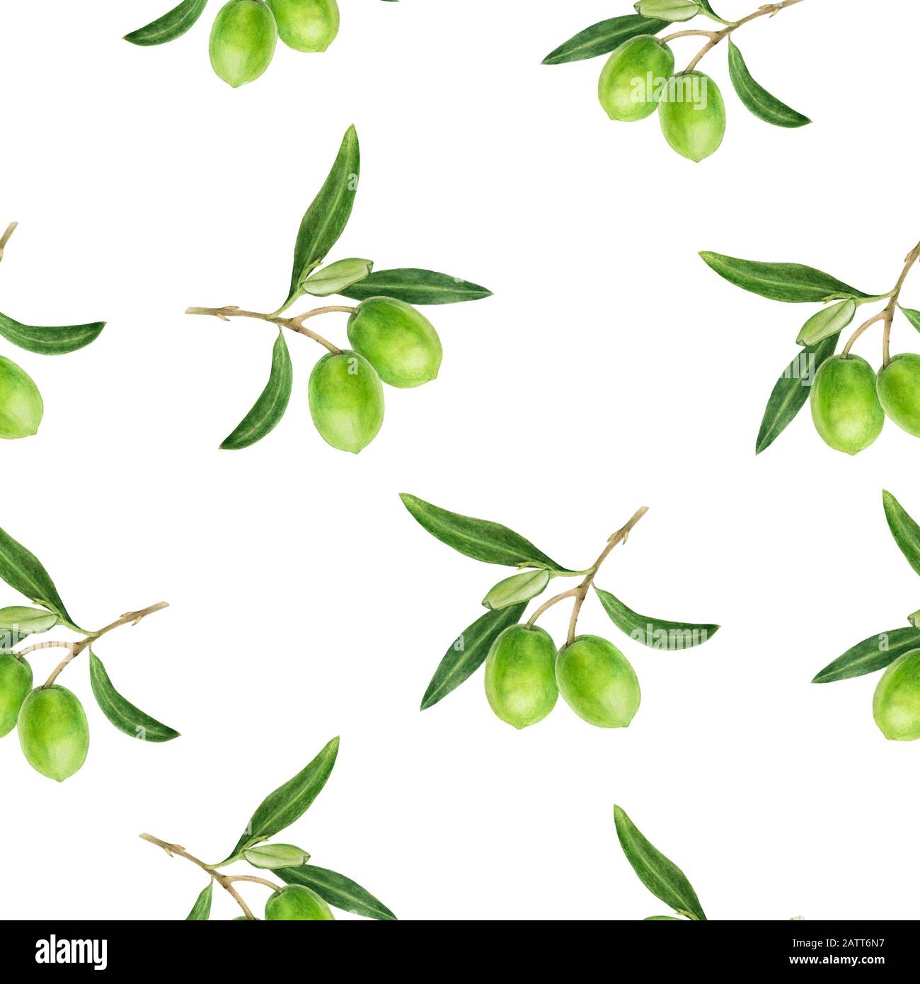 Green olives hand drawn watercolor illustration. Seamless pattern Stock ...