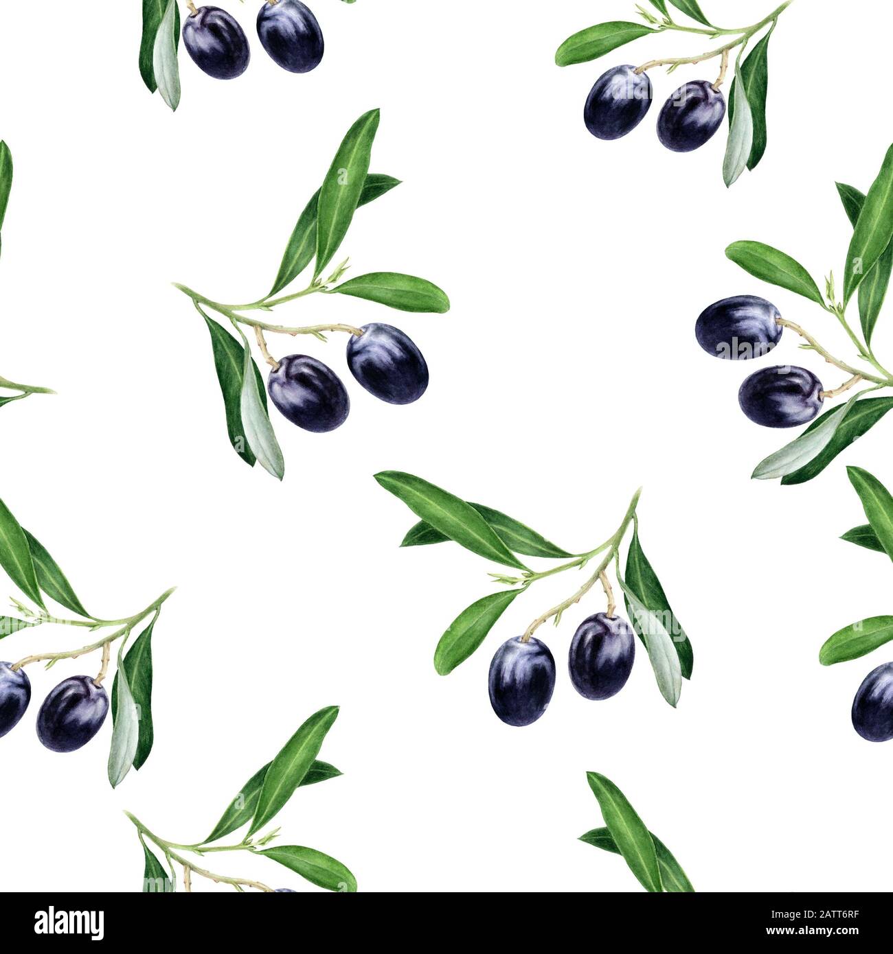 Black olives hand drawn watercolor illustration. Seamless pattern Stock ...