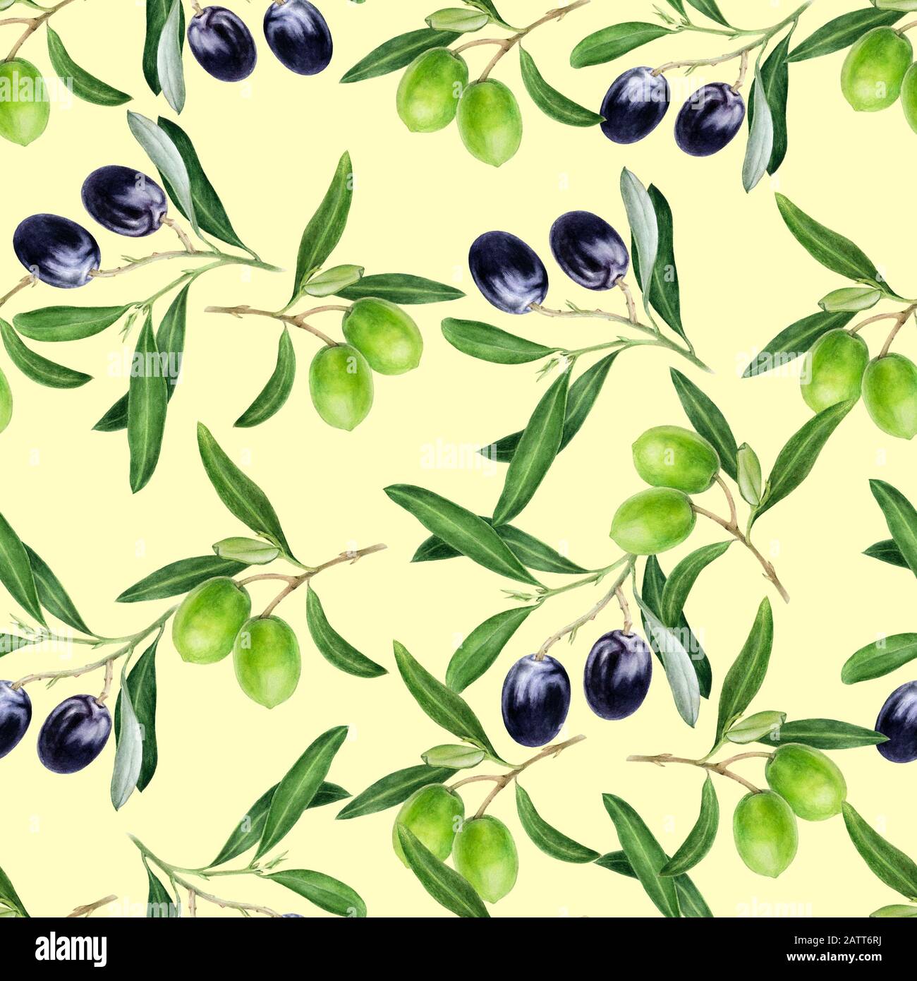 Olives hand drawn watercolor illustration. Seamless pattern Stock Photo ...
