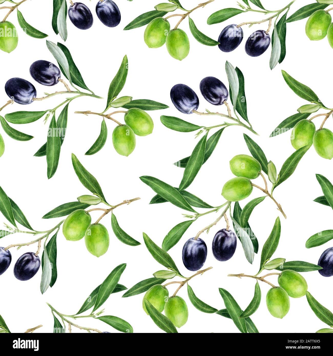 Olives hand drawn watercolor illustration. Seamless pattern Stock Photo ...