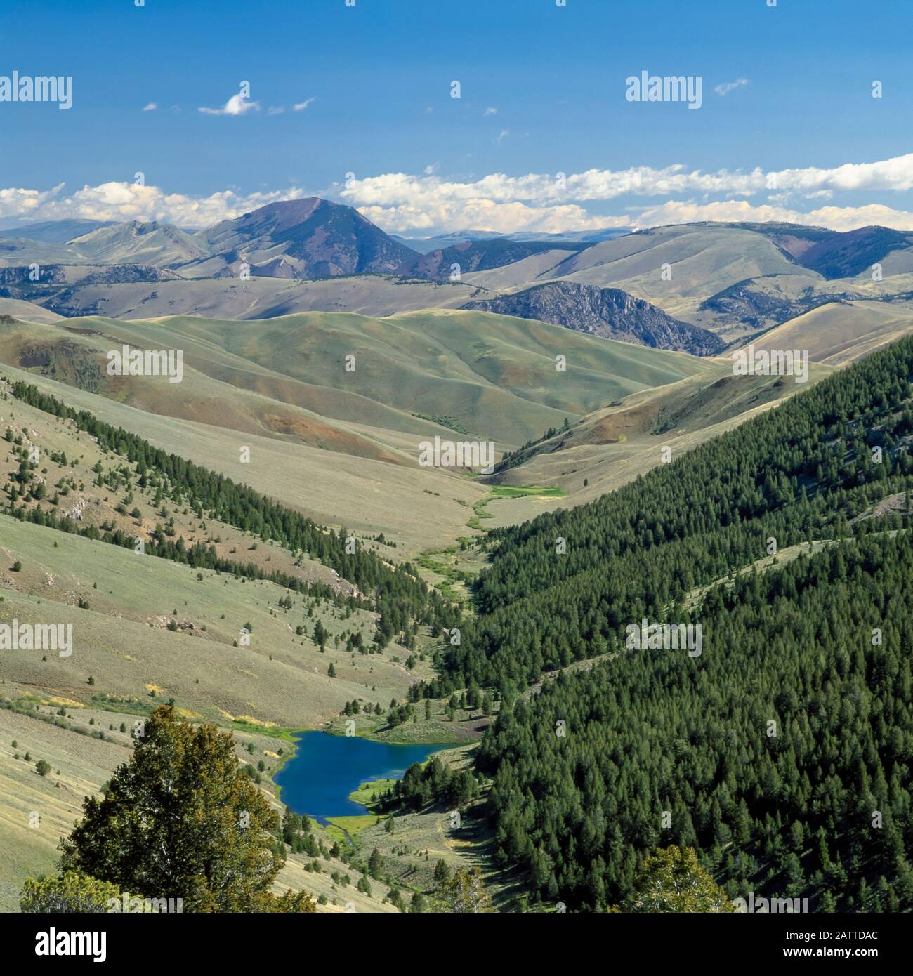 Deadman creek basin hires stock photography and images Alamy