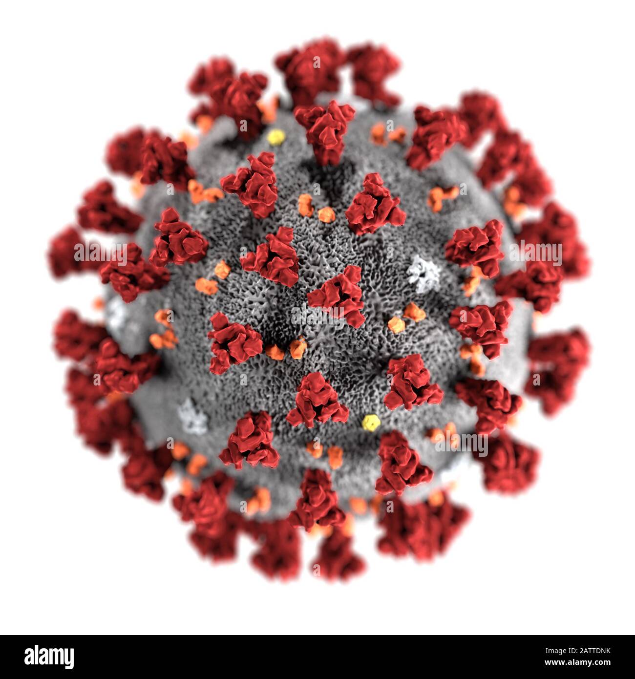 Coronaviruse ultrastructural morphology. Stock Photo