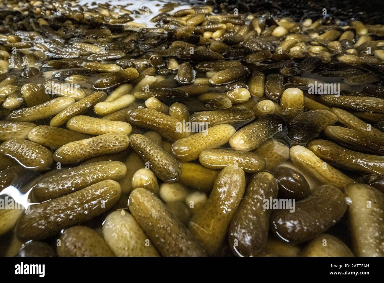 Dingolfing Germany 21st Jan 2020 Patrick Biebl From The Company Develey Is Standing Next To A