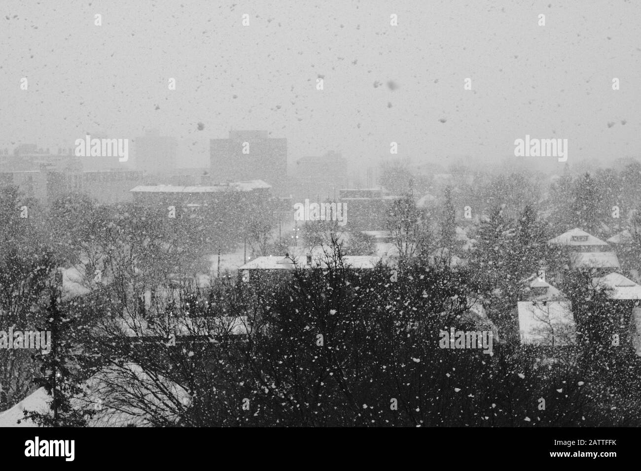 Enormous flakes of snow falling during a snow storm as seen from my balcony, Ottawa, Ontario, Canada. Stock Photo
