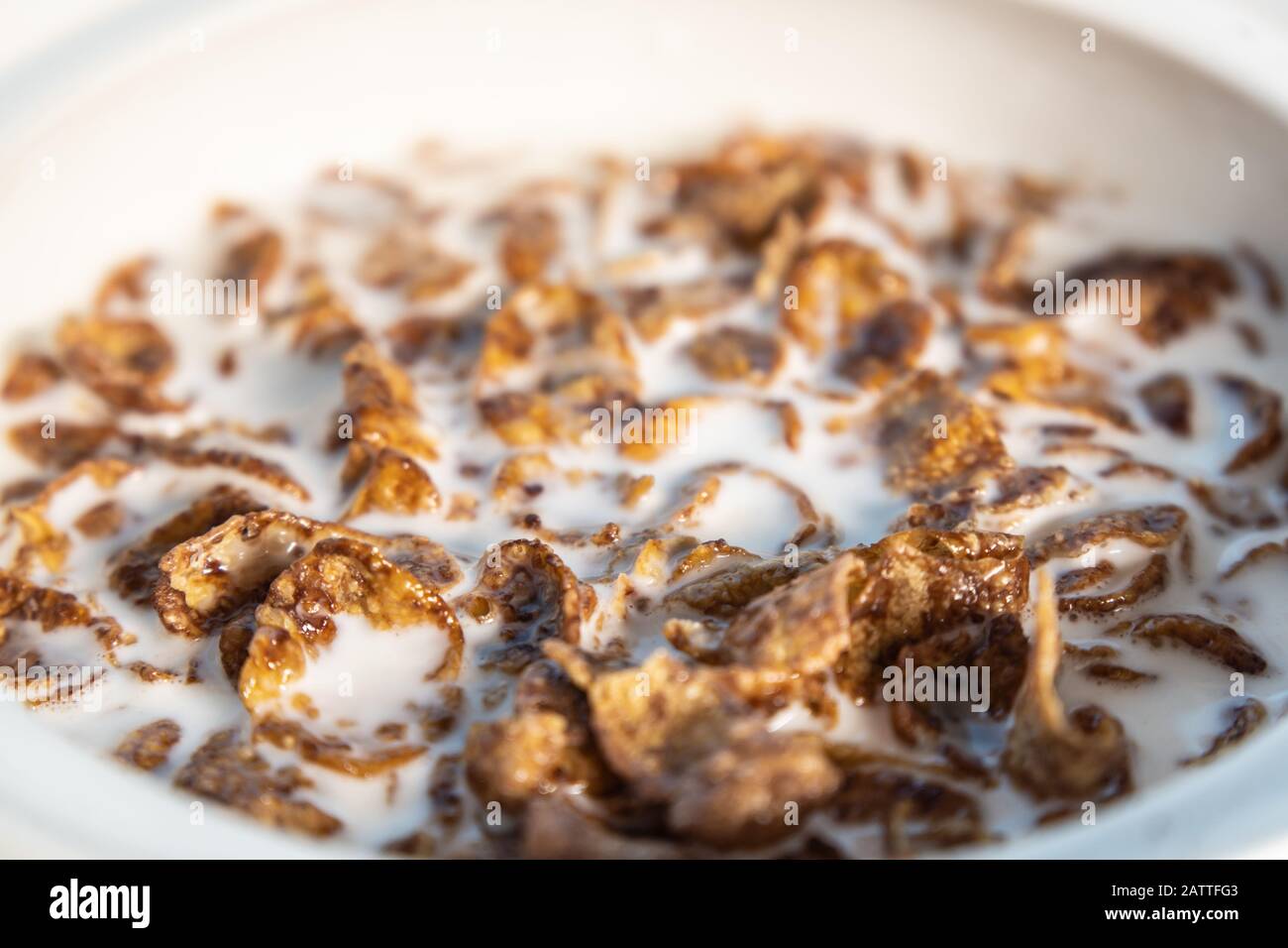 chocolate flavored corn flakes with milk in a bowl Stock Photo