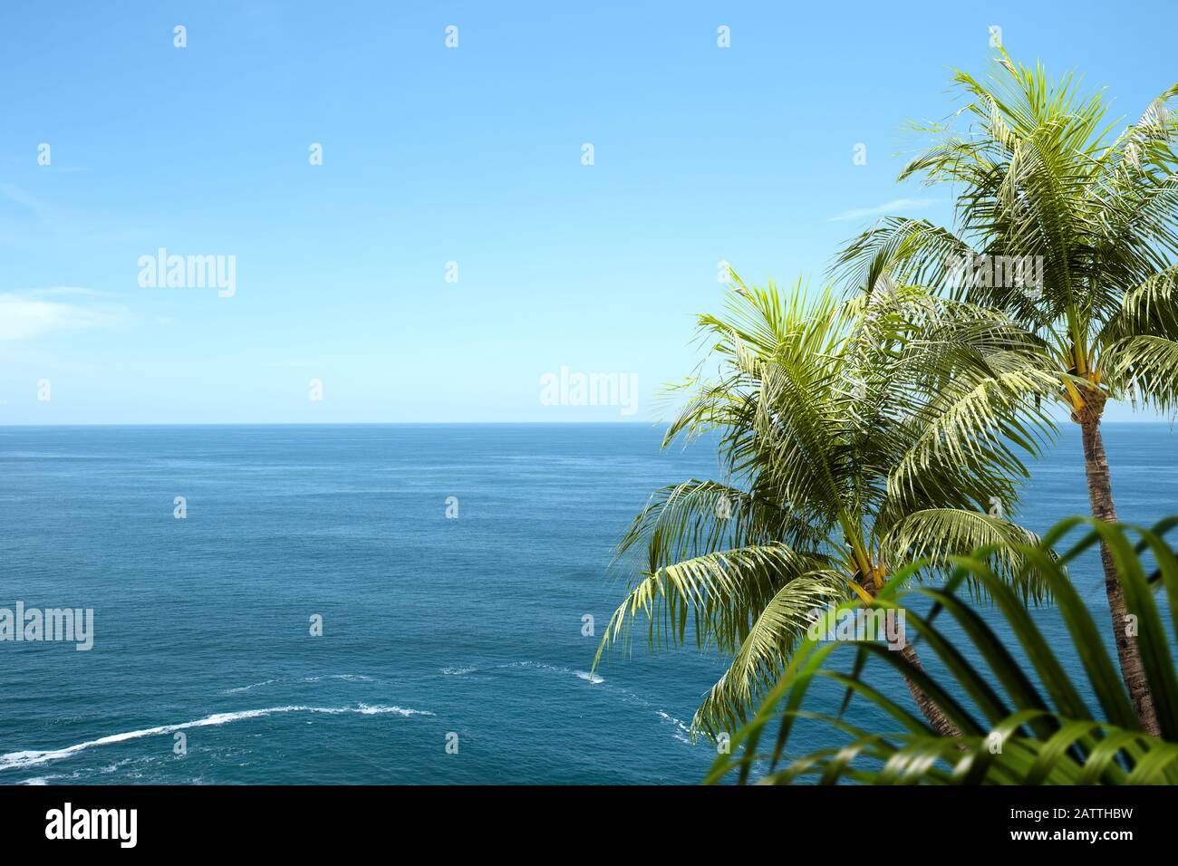 Oceanview and green palm leaf with a blue sky background Stock Photo ...