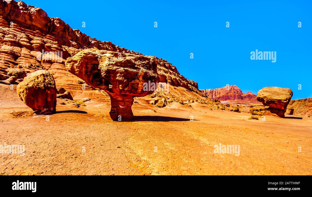 Large Balanced Rock Toadstool near Lee's Ferry in Glen Canyon National Recreation Area at Vermilion Cliffs and Marble Canyon near Page, Arizona, USA Stock Photo