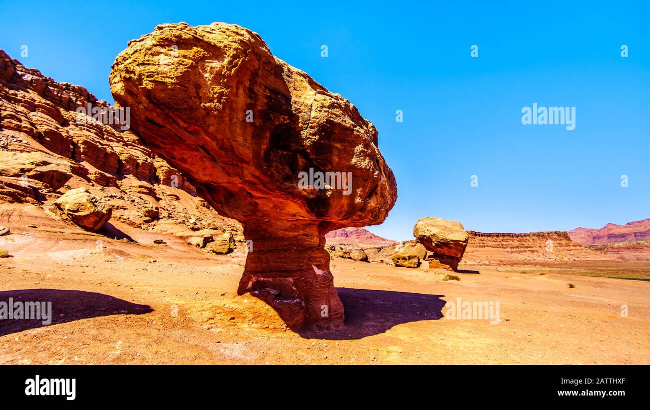 Large Balanced Rock Toadstool near Lee's Ferry in Glen Canyon National Recreation Area at Vermilion Cliffs and Marble Canyon near Page, Arizona, USA Stock Photo