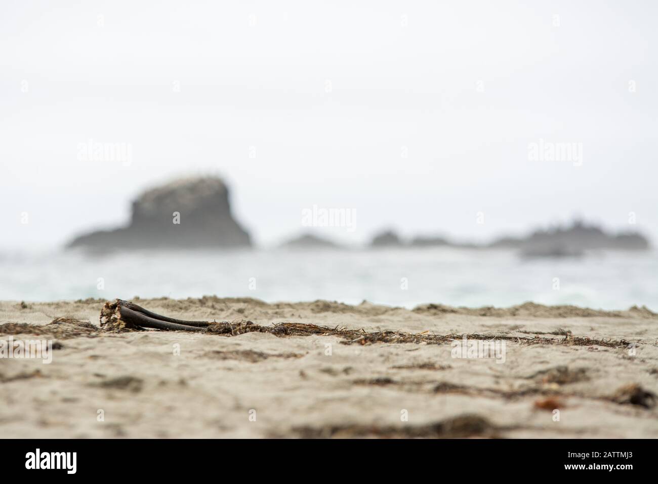Blurred sandy background hi-res stock photography and images - Alamy