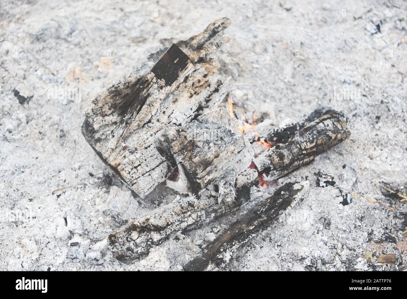 Pile Of Ashes After The Fire Bonfire Burn Wood With Ashes And