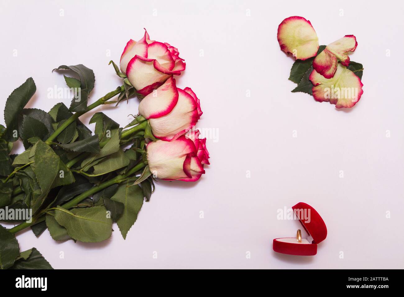 Three Gold Roses Three gold roses hi-res stock photography and images - Alamy