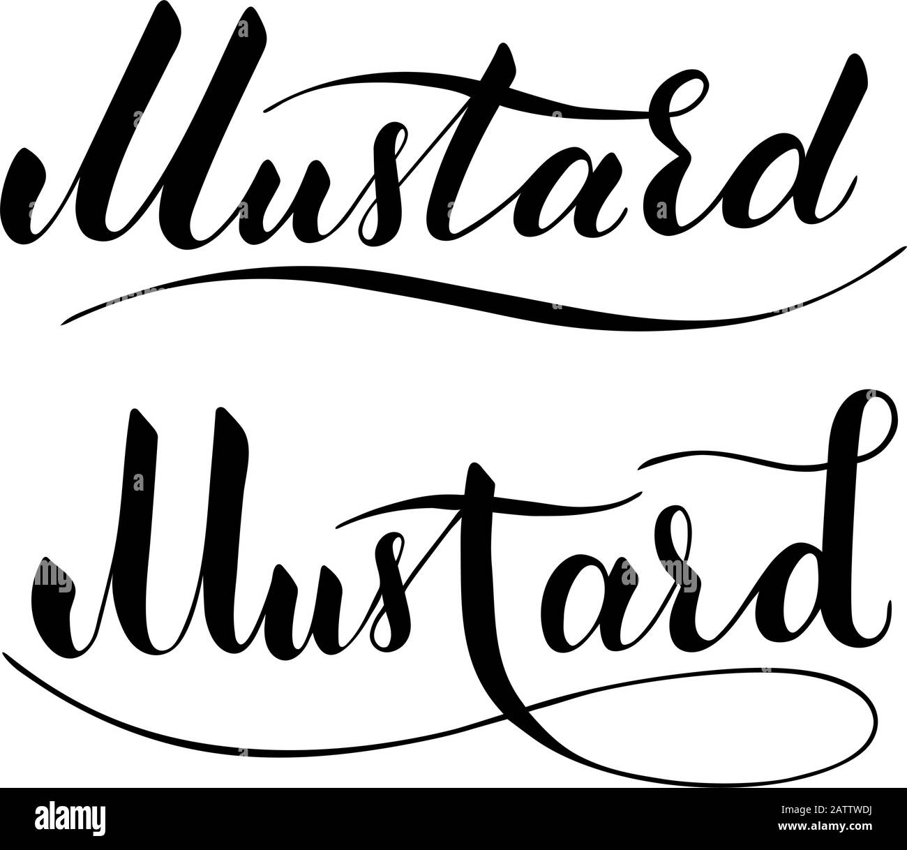 Vector hand written mustard text isolated on white background. Kitchen healthy herbs and spices for cooking. Script brushpen lettering with flourishes Stock Vector