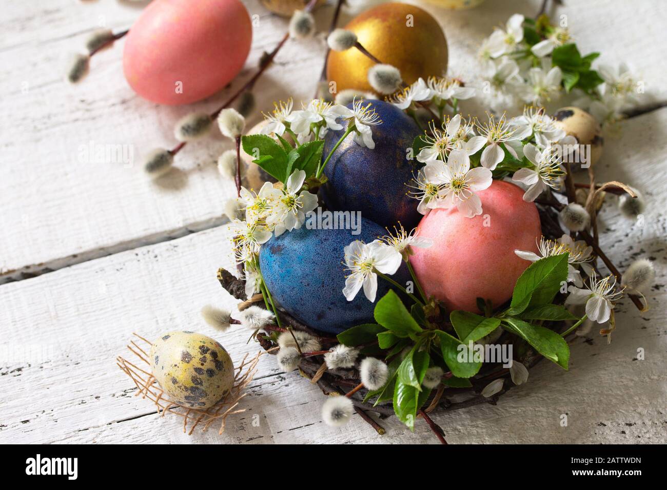 Colored Easter eggs, willow branches and spring flowers on a white ...