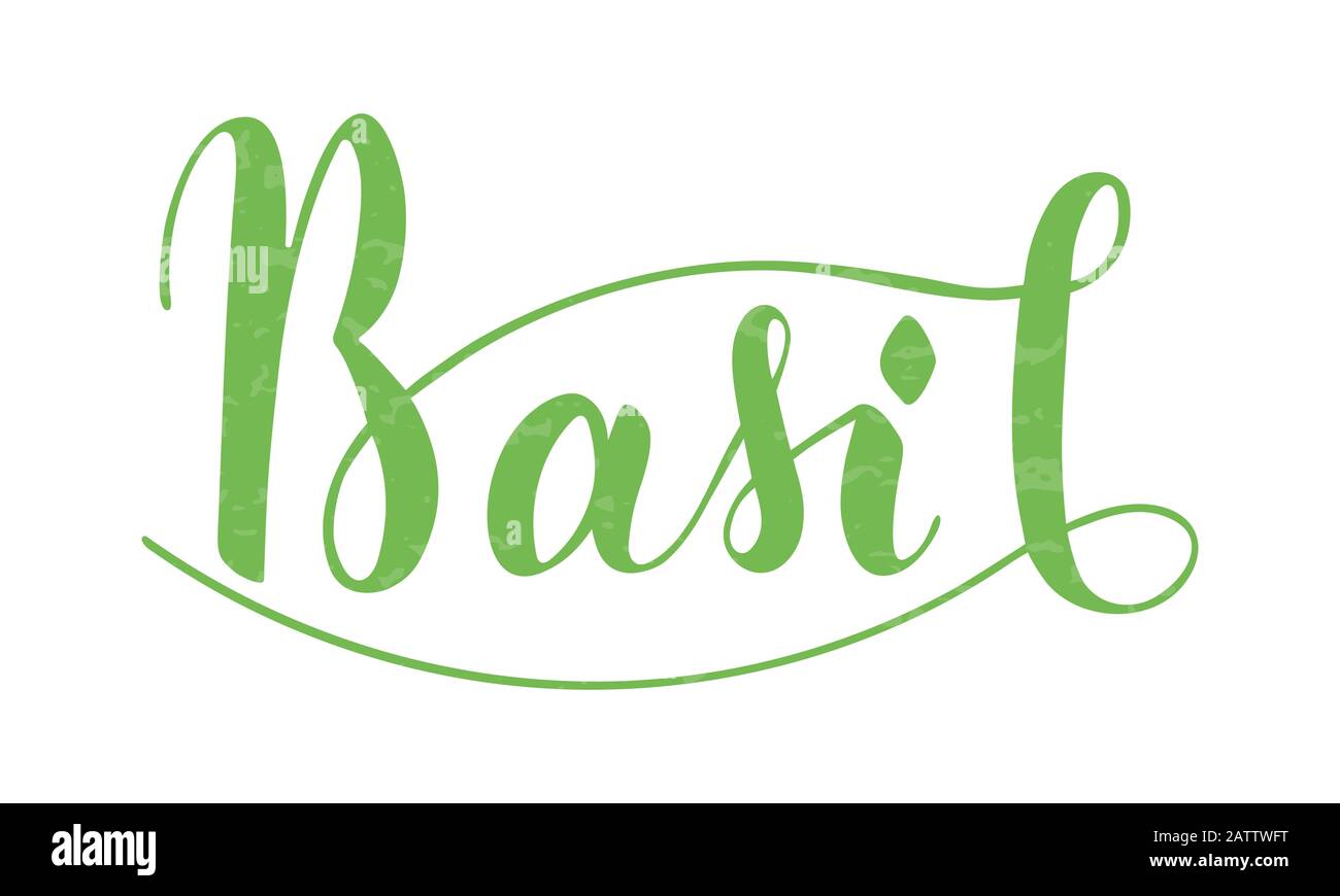 Vector hand written basil text isolated on white background. Kitchen ...