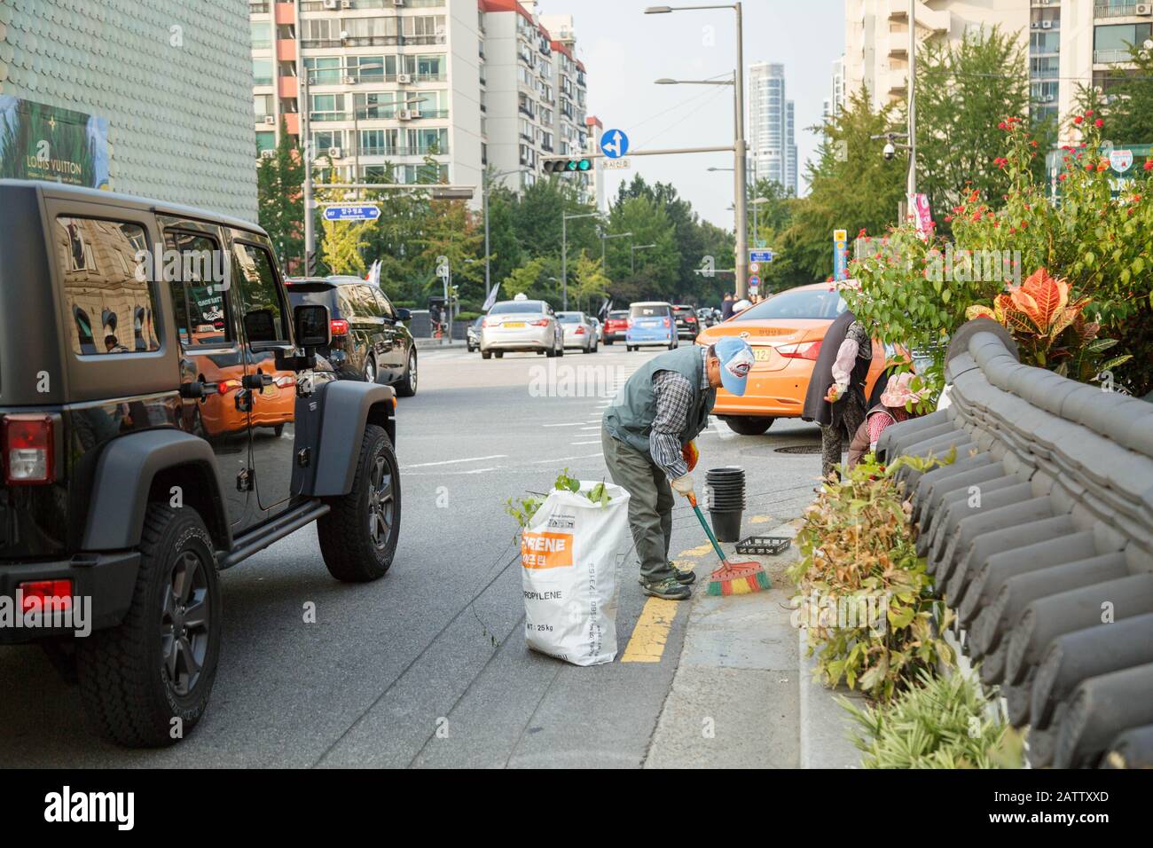 An elderly gardener sweeps the ditch while working right next to the busy traffic in the popular retail crossings of Ganhnam, Seoul, South Korea. Stock Photo