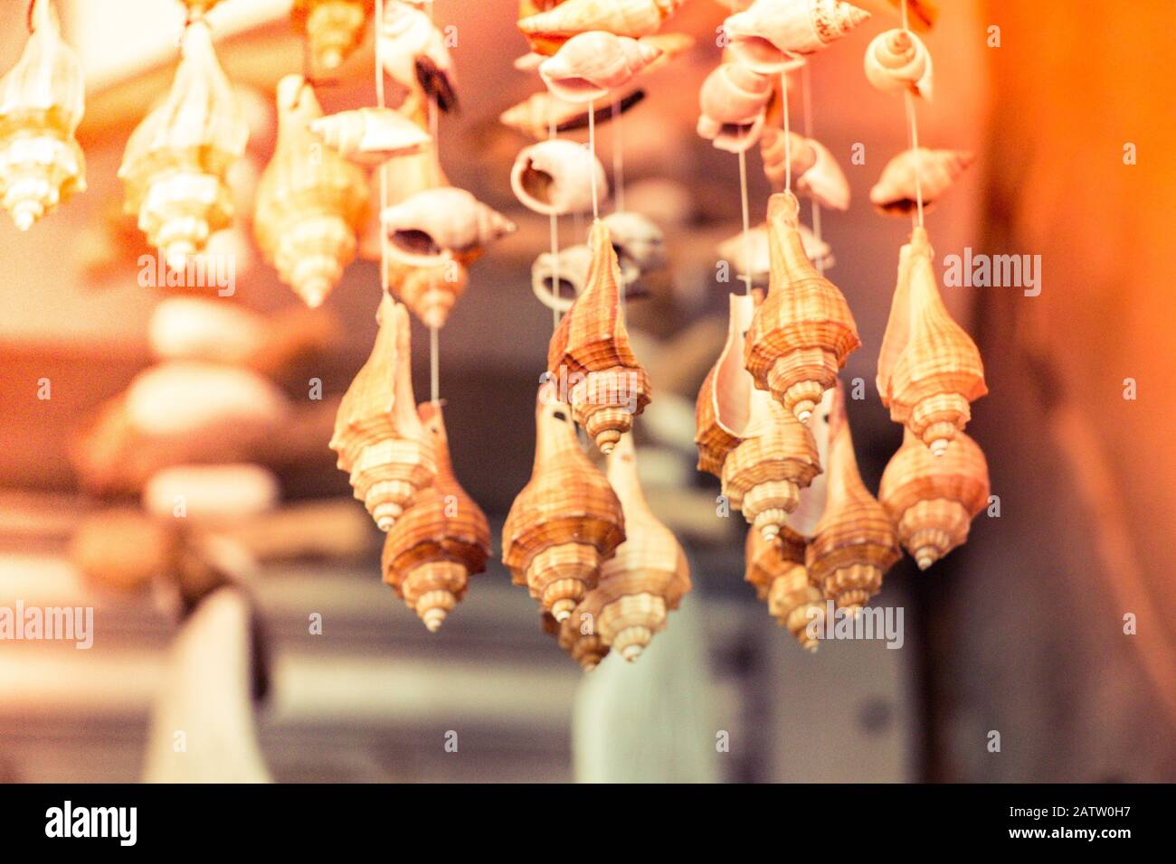 Home decorations made from different shape and color seashells Stock Photo