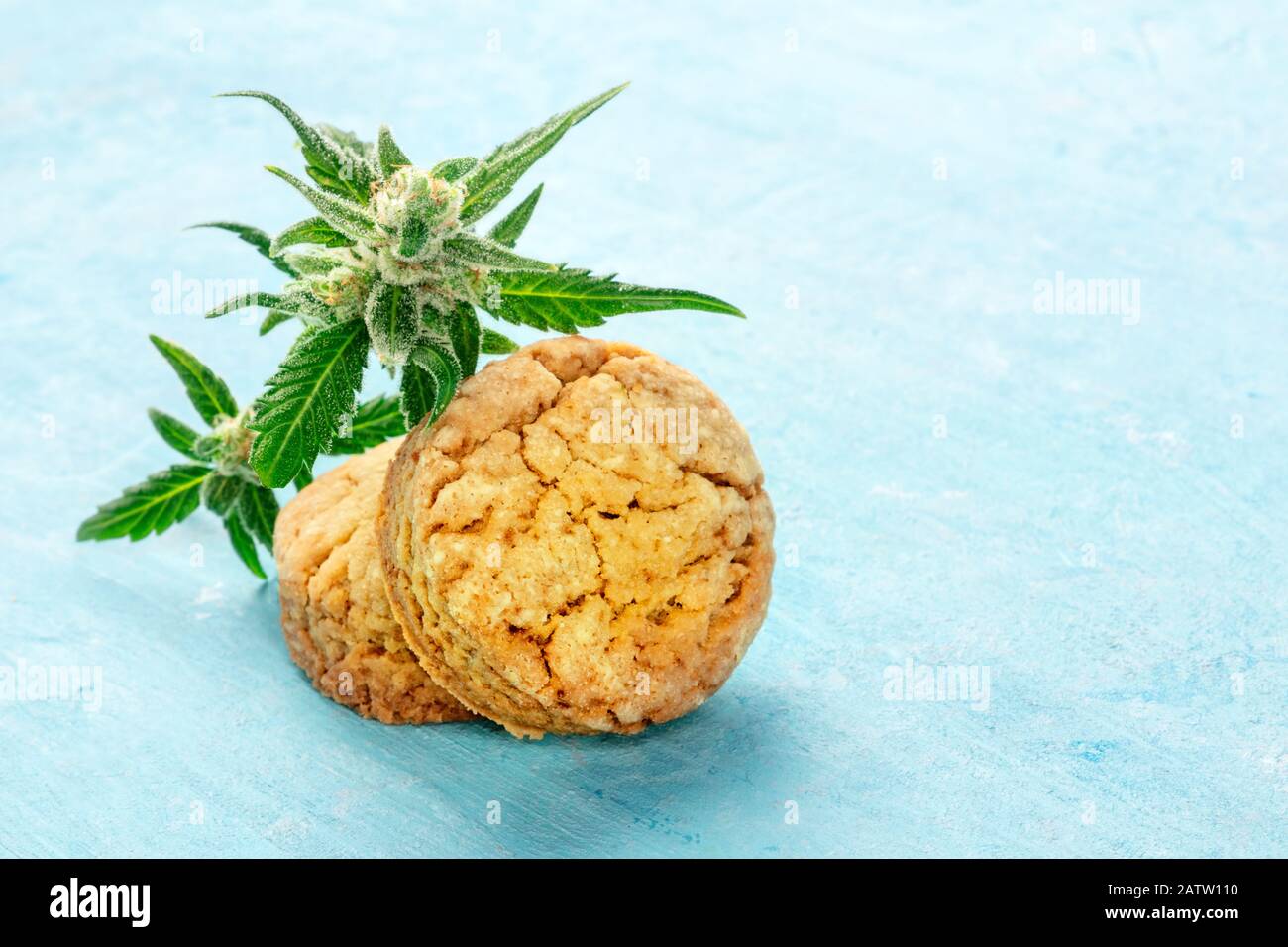 Cannabis butter cookies with hemp buds, homemade healthy biscuits on a