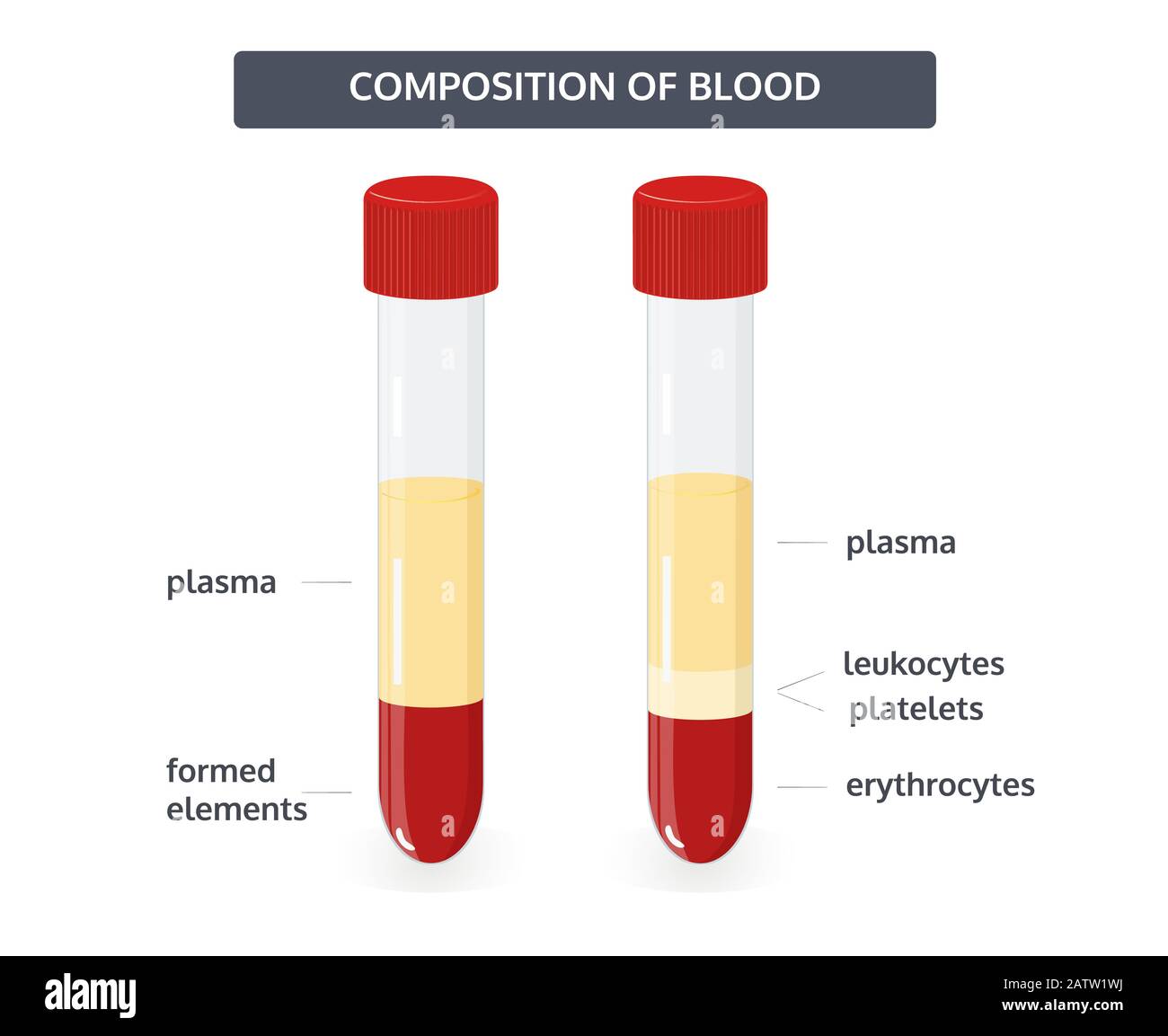 Сыворотка крови положительная. Сыворотка крови в пробирке. Плазма крови в пробирке. Пробирки с кровью. Красная сыворотка крови.