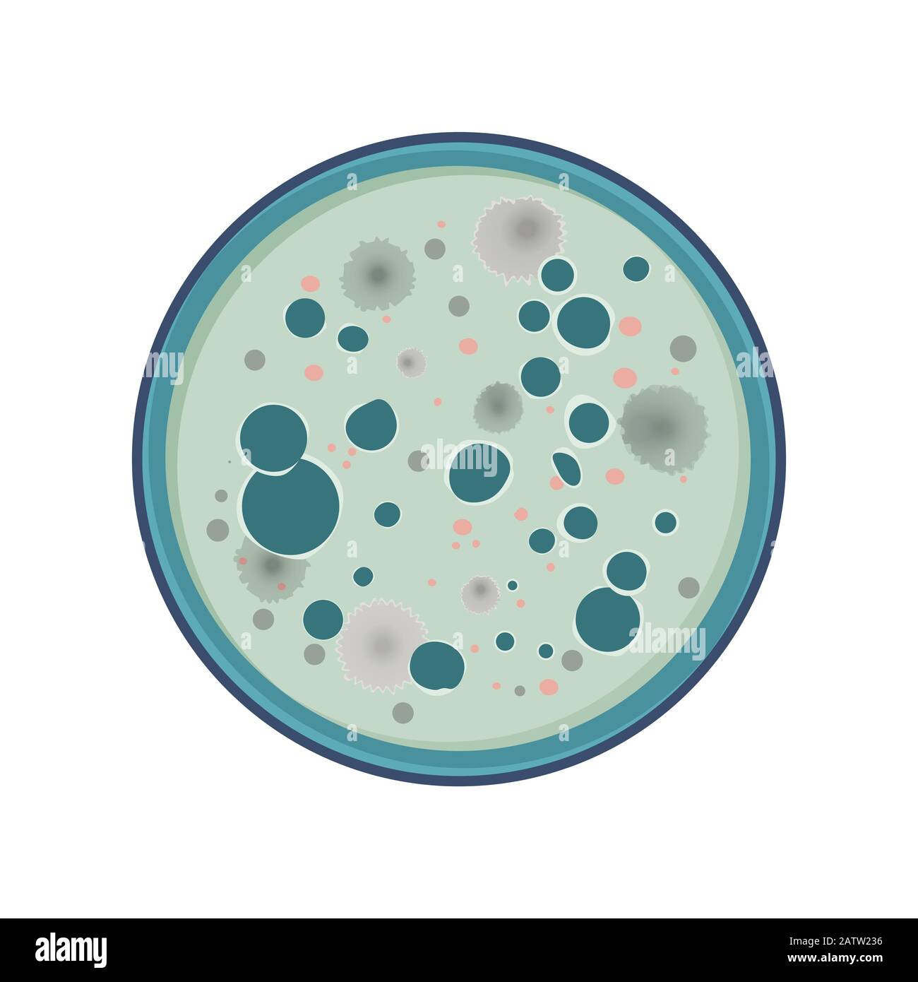 Colony of bacteria, fungus growth in petry dish, flat style, vector illustration. Stock Vector