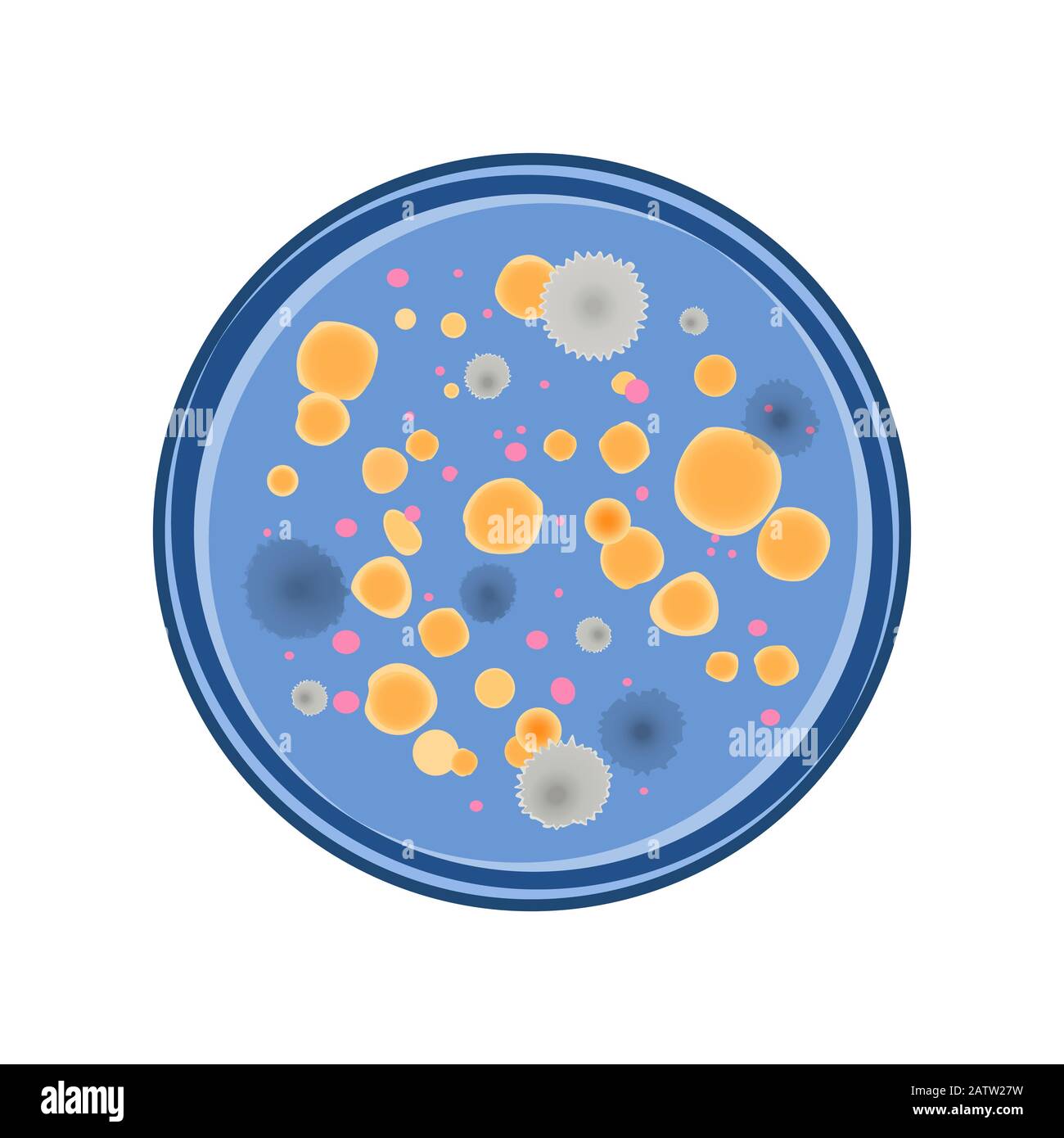 Colony of bacteria and fungus growth in petry dish, vector flat style. Stock Vector