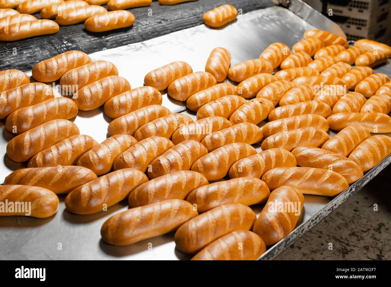 The oven in the bakery. Hot fresh bread leaves the industrial oven in a  bakery. Automatic bread production line Stock Photo - Alamy