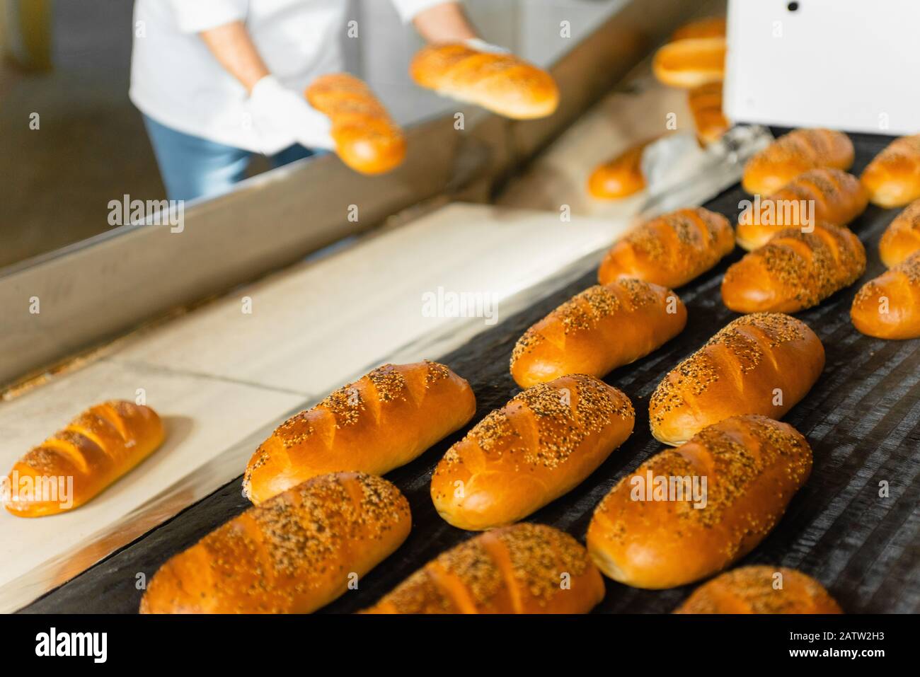 The oven in the bakery. Hot fresh bread leaves the industrial oven in a bakery. Automatic bread