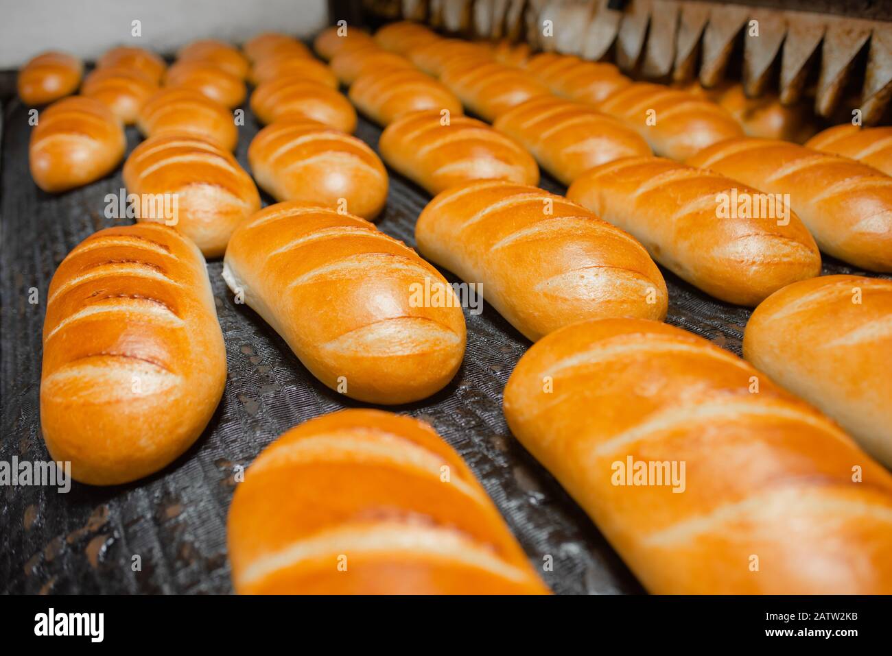 The oven in the bakery. Hot fresh bread leaves the industrial oven in a  bakery. Automatic bread production line Stock Photo - Alamy