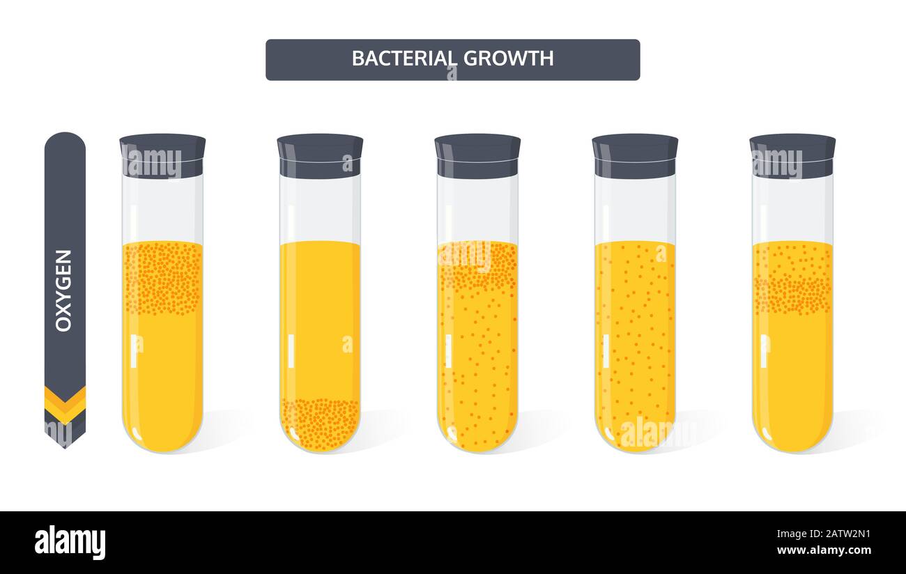 Microbiology vial High Resolution Stock Photography and Images Alamy