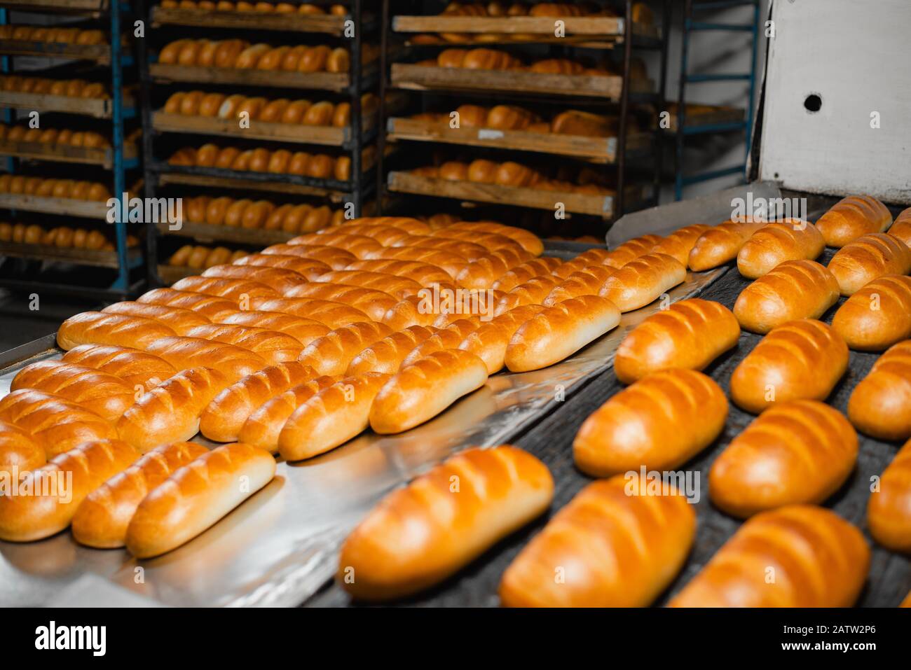 The oven in the bakery. Hot fresh bread leaves the industrial oven in a  bakery. Automatic bread production line Stock Photo - Alamy