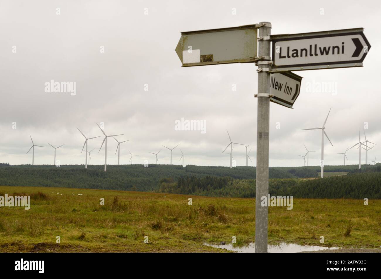 Mixed upland land use, wind turbines tower above commercial forestry alongside upland sheep pasture, Llanllwni, Wales, UK Stock Photo