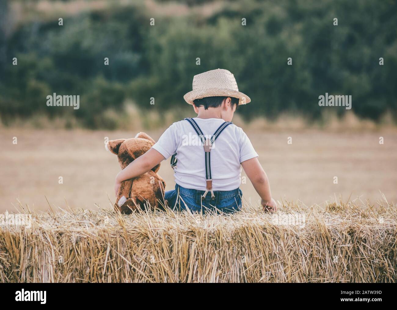 Boy hugging teddy bear in the wheat field outdoor Stock Photo - Alamy