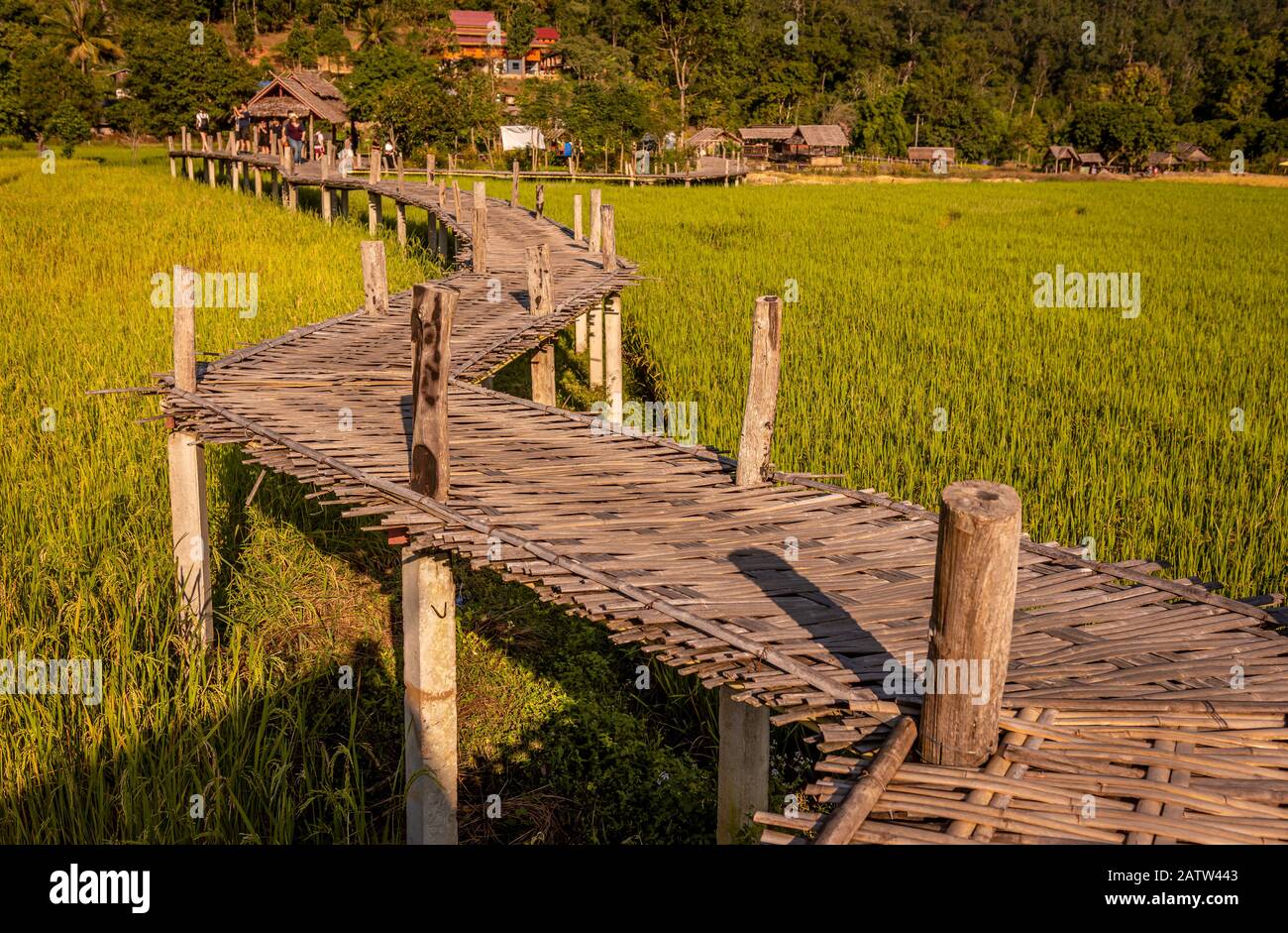 Boon ko ku bamboo hi-res stock photography and images - Alamy